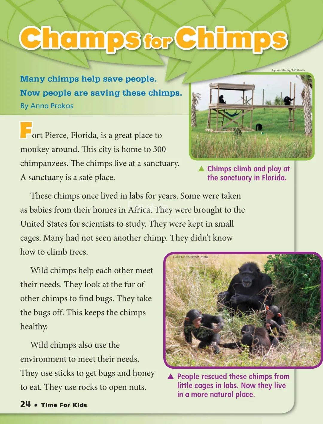 TIME for Kids 图片9