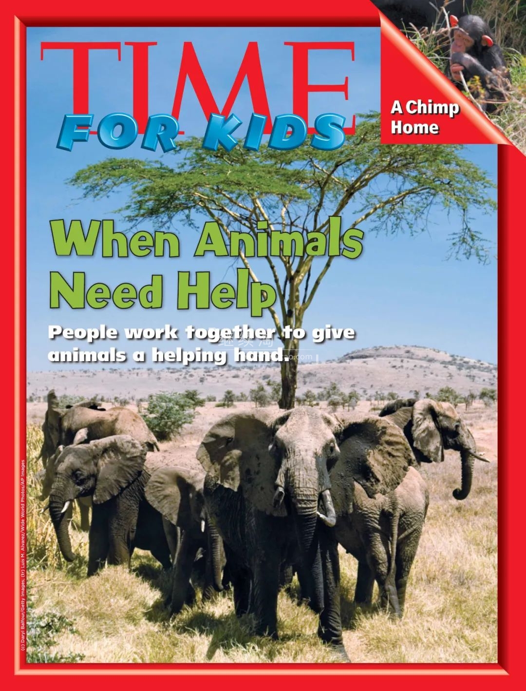 TIME for Kids 图片7